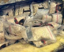 الأردن يعلن عن أكبر عملية لضبط مخدرات منذ أعوام