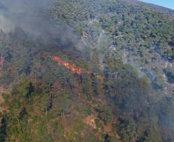 وزير الطوارئ: النيران التهمت أكثر من 14 ألف هكتار في المنطقة الساحلية