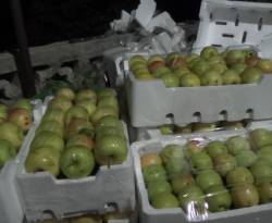 أسعار الخضار والفواكه في شارع بغداد بدمشق
