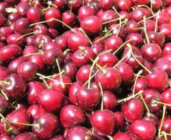 ارتفاع أسعار الفواكه يبعدها أكثر عن موائد السوريين