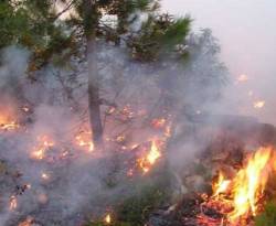 ريف اللاذقية يحترق..!