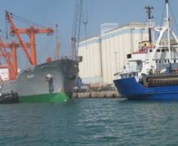 مصر تُتيح لتجار موالين منفذاً تجارياً بديلاً عن 