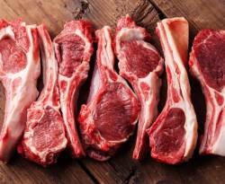 اقتصاديات.. لا تأكلوا اللحمة، فهي طعام الذئاب والكلاب