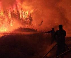 الحرائق تتسبب بأضرار كبيرة لشبكة الكهرباء في اللاذقية