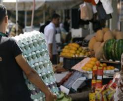 سوق العاصمة وريفها.. ومؤشر البقدونس حكماً