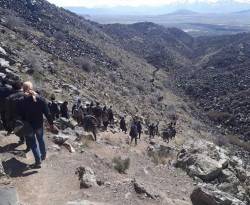 تركيا: توقيف أكثر من 1450 مهاجراً بعملية على الحدود مع إيران