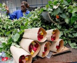 منتجو الزهور الأفارقة يهددون عرش هولندا