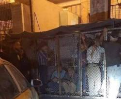 مسؤول في النظام يدافع عن أقفاص تنظيم دور الخبز