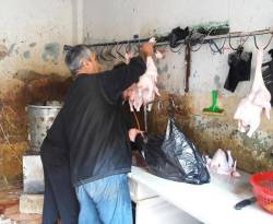 أسعار بعض أصناف اللحوم بدمشق