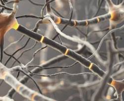 شائعات حول مرض عصبي خطير يؤدي إلى الشلل والموت.. تسبب هلعاً في اللاذقية