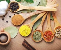 التداوي بالأعشاب عند غير المختصين.. قد يعني الموت