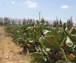 قصّة حدثت في 