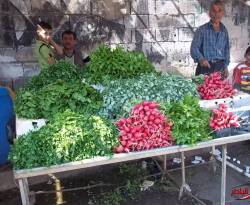 أسعار بعض السلع في إدلب وريفها