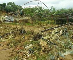 النظام يصدم الفلاحين بتعويضاته عن الأضرار الزراعية جراء السيول