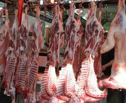 توقعات بارتفاع أسعار اللحوم الحمراء في مناطق سيطرة النظام