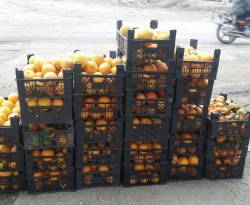 أسعار بعض السلع في الغوطة الشرقية