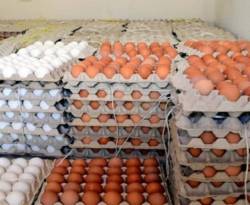 توقعات بتراجع أسعار البيض إلى النصف بعد إغلاق آخر المعابر مع العراق