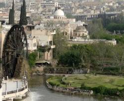 أسعار بعض أصناف المواد التموينية في مدينة حماة