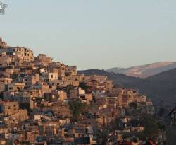 اقتصاديات....صورة مصغرة عن 