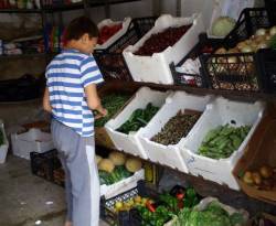 أسعار بعض السلع في ريف القنيطرة