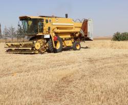 صفقة بين النظام و