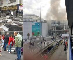 الذهب يرتفع 1% بعد انفجارات بروكسل