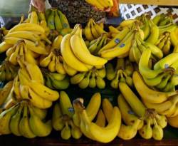 أسعار بعض السلع في ريف درعا