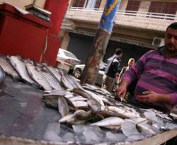 تفوق القدرة الشرائية.. رصد للأسعار في اللاذقية