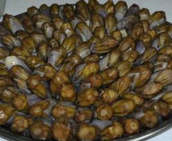 أيلول كان أسود على أهالي درعا.. مع ثالوث 