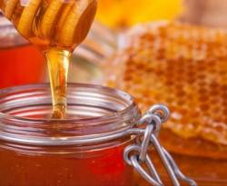 أسعار زيت الزيتون والعسل بدمشق