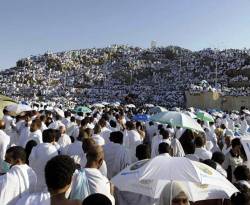 حجاج بيت الله الحرام على مقصلة 