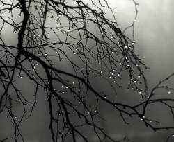 أمطار تحسّن مزاج الفلاحين في درعا رغم تأثير الدولار السلبي