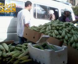 اقتصاديات.. البلد لمن يتحمل سعر الكوسا فيها