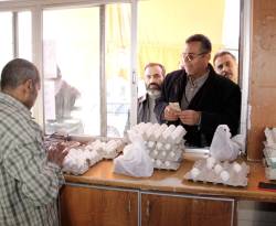 أسعار البيض والفروج ترتفع مجدداً بنسبة 10%