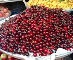 ارتفاع أسعار الفواكه في دمشق