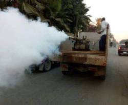 البرغش يغزو حلب