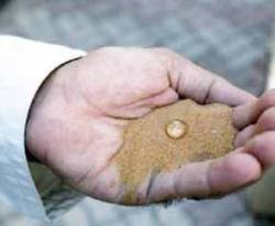 شركة إماراتية تنتج رملاً لا يمتص الماء يدوم 30 عاماً