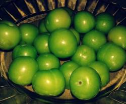 أسعار الخضار والفواكه في سوق البرامكة بدمشق