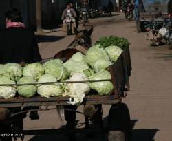 أسعار بعض السلع في ريف حمص الشمالي