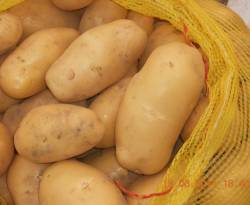 اقتصاديات...بطل من هذا النظام..!!