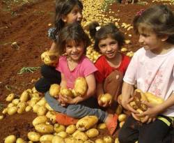 10 أسئلة وأجوبة عن الزراعة في درعا