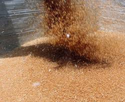 الحكومة تعتمد 