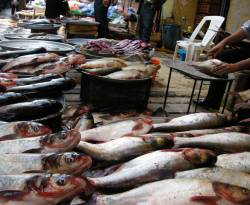 أسعار بعض أصناف السمك والفروج في سوق باب السريجة بدمشق