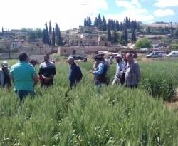 مزارعون يناشدون الحكومة لتوفير المازوت بسعر مدعوم.. كيف ردت وزارة الزراعة؟