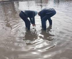 محافظة دمشق تتحدث عن 