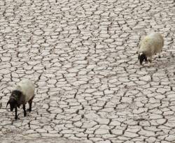 الجفاف خطر جديد يهدد الاقتصاد السوري.. كيف نواجهه؟