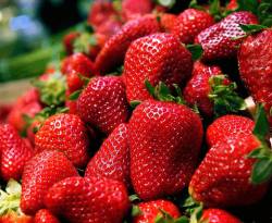 أسعار بعض أنواع الخضار والفواكه في سوق باب سريجة بدمشق