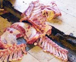 بياع العظام...مهنة جديدة في دمشق بعد غلاء اللحوم