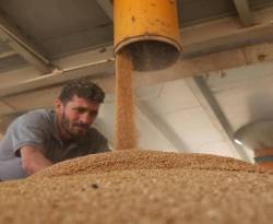 موسكو تفرض على النظام التعامل مع شركات روسية لاستيراد القمح