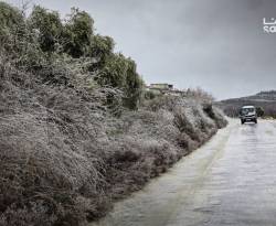 وزارة الزراعة تدعو لاتخاذ إجراءات وقاية من موجة الصقيع المرتقبة